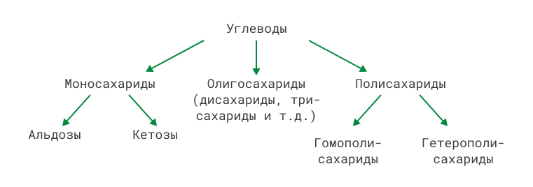 Классификация углеводов