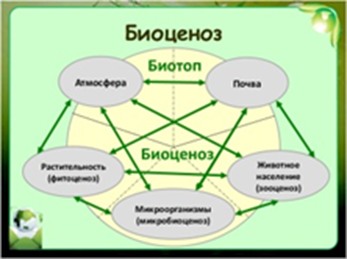 Биотоп + биоценоз = биогеоценоз