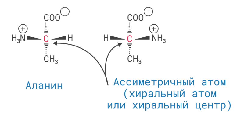 Стереоизомерия