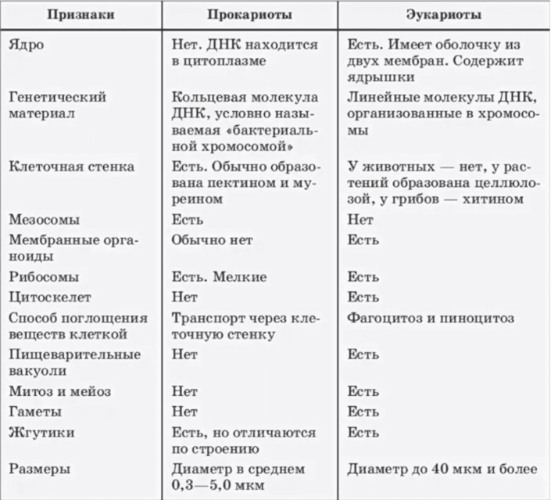 Сравнительная характеристика