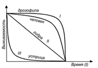 Кривые выживаемости