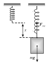 Рис. 1. Деформация растяжения пружины. Fупр = −mg, Fупр = −kx