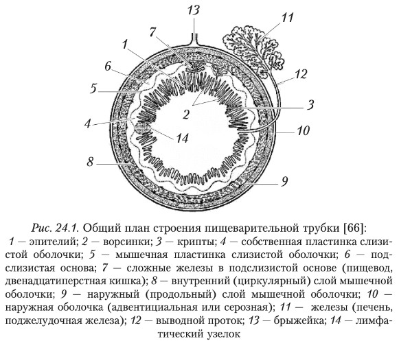 123