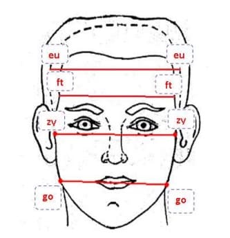 Разновидности ширины головы и лица