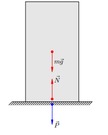 Рисунок 1. Сила тяжести, реакция опоры и вес тела