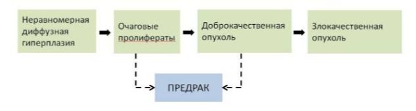 Классификация предопухолевых состояний (по Л.М. Шабаду)