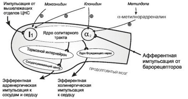 Механизм действия клонидина