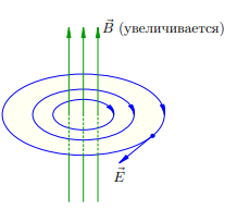Рисунок 1. Вихревое электрическое поле при увеличении магнитного поля