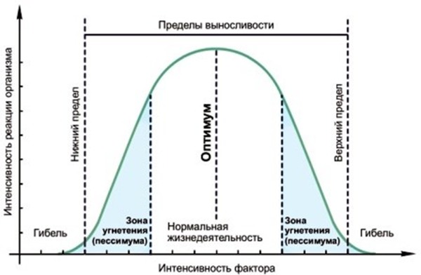 Интенсивность фактора